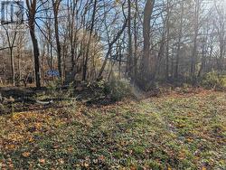 46420 METHODIST ST. STREET  Central Elgin (Sparta), ON N5P 3S8