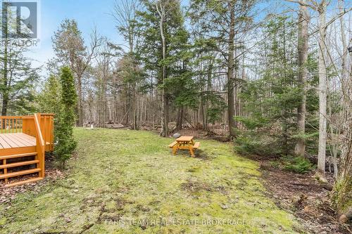 2384 Champlain Road, Tiny, ON - Outdoor