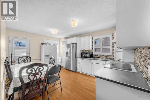 120 Castlebrook Rise Ne, Calgary, AB - Indoor Photo Showing Kitchen With Double Sink