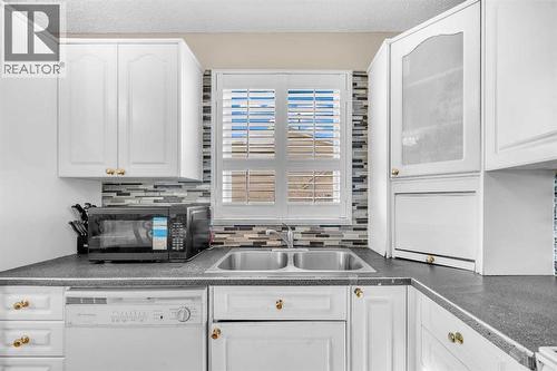 120 Castlebrook Rise Ne, Calgary, AB - Indoor Photo Showing Kitchen With Double Sink