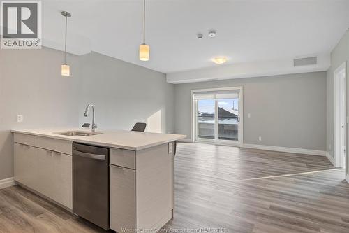 728 Brownstone Drive Unit# 201, Tecumseh, ON - Indoor Photo Showing Kitchen