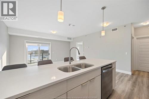 728 Brownstone Drive Unit# 201, Tecumseh, ON - Indoor Photo Showing Kitchen With Double Sink