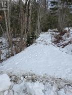Lot S1 Highway 332  Middle Lahave, NS B4V 0G3