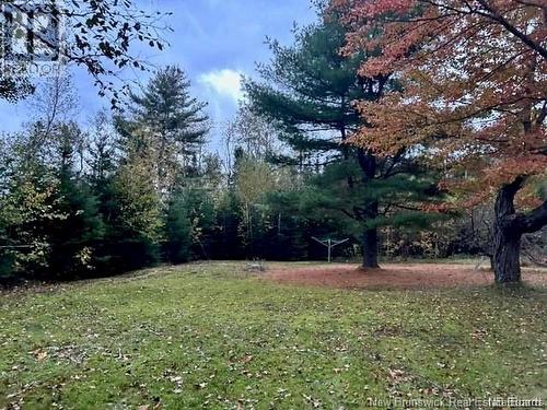 1615 Route 745, Canoose, NB 