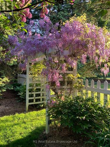 28 Weneil Drive, Hamilton (Freelton), ON - Outdoor