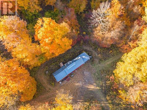 Pt Lt 23 & 24 County Road 24, Alnwick/Haldimand, ON 