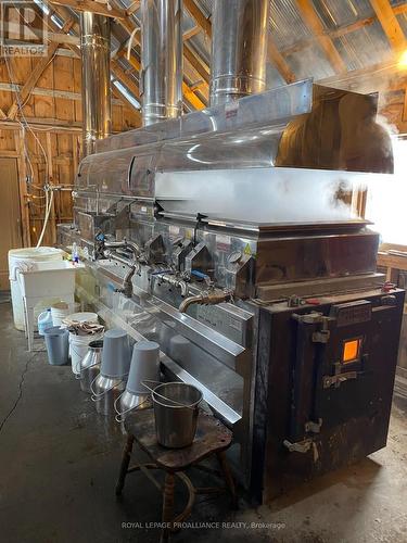 Pt Lt 23 & 24 County Road 24, Alnwick/Haldimand, ON 