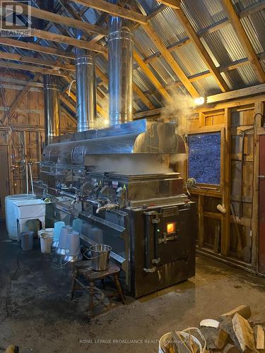 Pt Lt 23 & 24 County Road 24, Alnwick/Haldimand, ON 