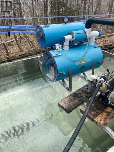 Pt Lt 23 & 24 County Road 24, Alnwick/Haldimand, ON 