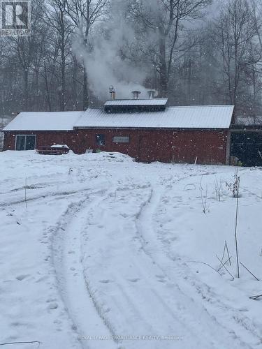 Pt Lt 23 & 24 County Road 24, Alnwick/Haldimand, ON 