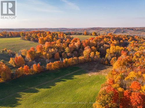 Pt Lt 23 & 24 County Road 24, Alnwick/Haldimand, ON 