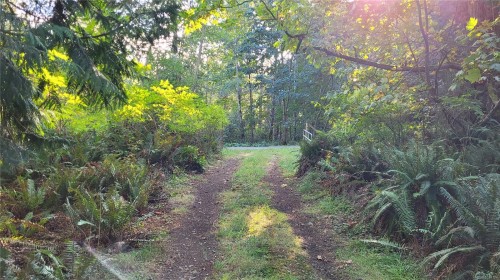 14 Spring Bay Rd, Lasqueti Island, BC 