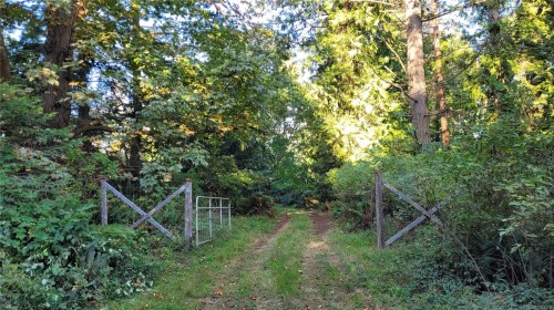 14 Spring Bay Rd, Lasqueti Island, BC 