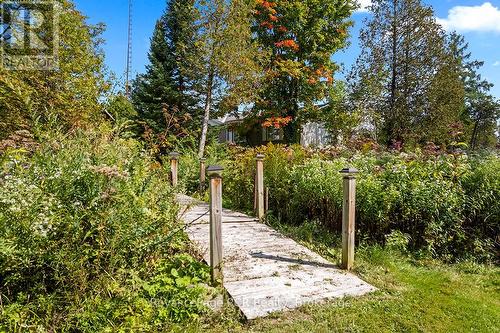 282848 Normanby-Bentinck Townline, West Grey, ON - Outdoor
