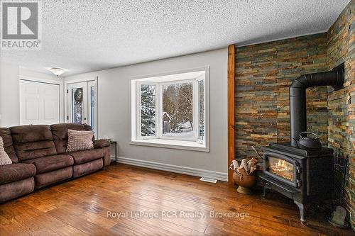 282848 Normanby-Bentinck Townline, West Grey, ON - Indoor Photo Showing Living Room With Fireplace