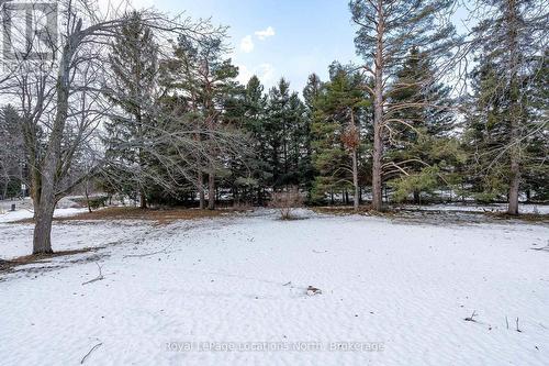9038 County Rd 91 Road, Clearview, ON - Outdoor With View