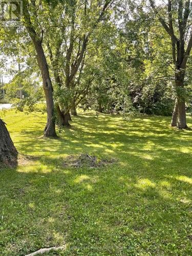 9038 County Rd 91 Road, Clearview, ON - Outdoor