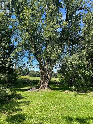 9038 County Rd 91 Road, Clearview, ON - Outdoor