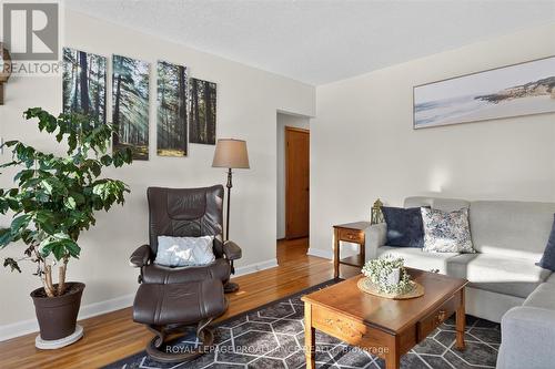 260 Bellevue Street, Peterborough (Northcrest Ward 5), ON - Indoor Photo Showing Living Room