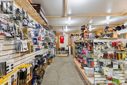 93 Station Street, Belleville (Belleville Ward), ON 