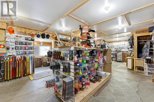 93 Station Street, Belleville (Belleville Ward), ON 