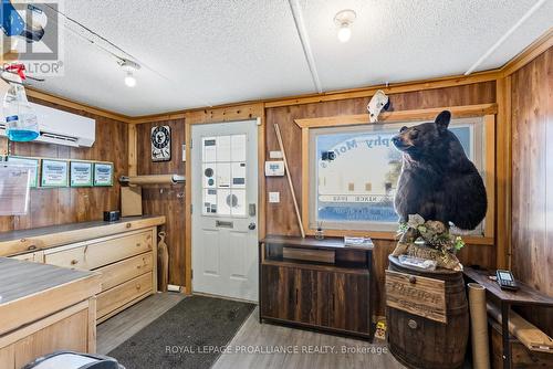 93 Station Street, Belleville (Belleville Ward), ON 