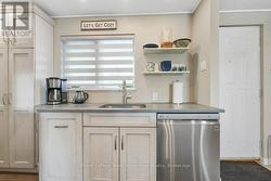 Sink and Dishwasher - 