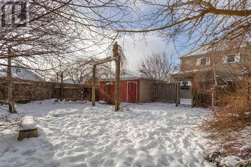 Yard - 53 Stanley Street, North Sydney, NS - Outdoor