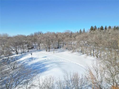 10 Jerome Drive, Brandon, MB - Outdoor With View