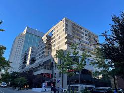 207-1081 Rue St-Urbain  Montréal (Ville-Marie), QC H2Z 1K8