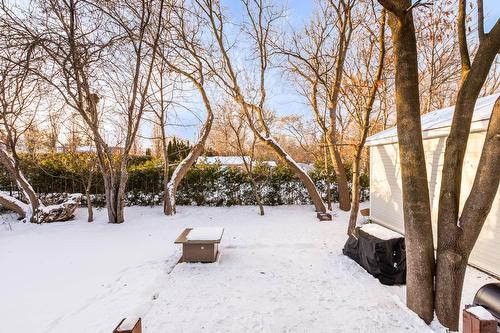 Cour - 21 Rue Lafontaine, Chambly, QC - Outdoor