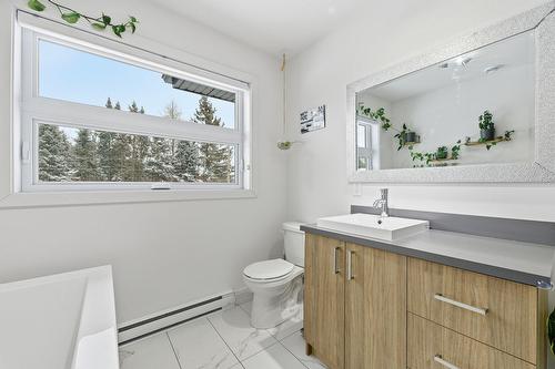 Salle de bains - 1076 Rue Des Huards, Sainte-Agathe-Des-Monts, QC - Indoor Photo Showing Bathroom