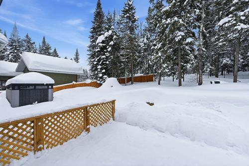 Cour - 1076 Rue Des Huards, Sainte-Agathe-Des-Monts, QC - Outdoor