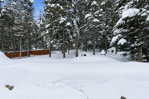 Cour - 1076 Rue Des Huards, Sainte-Agathe-Des-Monts, QC - Outdoor