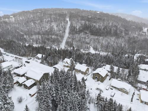 Vue d'ensemble - 1076 Rue Des Huards, Sainte-Agathe-Des-Monts, QC - Outdoor With View