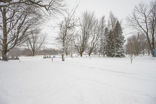 Cour - 465 Rue Principale, Saint-Paul-De-L'Île-Aux-Noix, QC - Outdoor With View