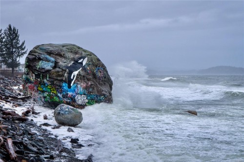 775 Beaver Creek Blvd, Campbell River, BC 