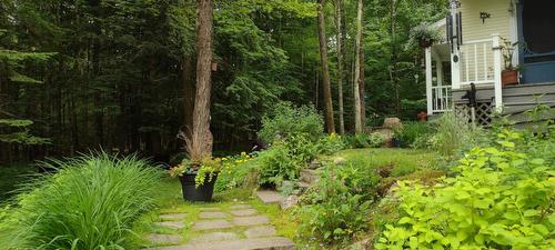 Extérieur - 257 Ch. De Bondville, Lac-Brome, QC - Outdoor