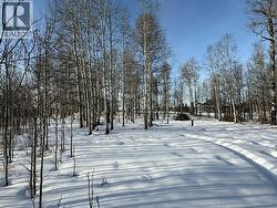 Hwy 570 Treed Approach - 