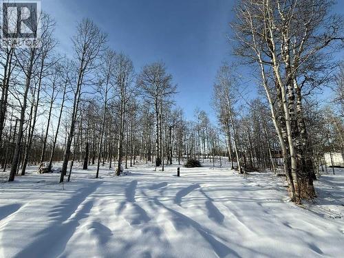 Highway 579 Treed Approach - 3, 5228 Highway 579, Rural Mountain View County, AB 