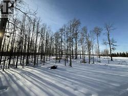 From Centre facing south - 