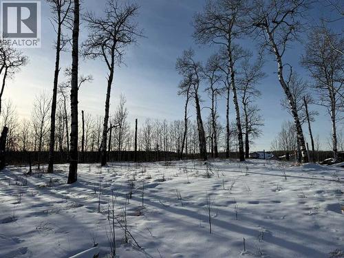 From centre of property facing west- perfect spot for a walkout! - 3, 5228 Highway 579, Rural Mountain View County, AB 