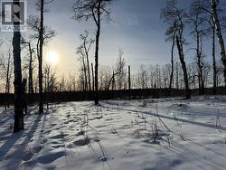 From Centre facing east - 