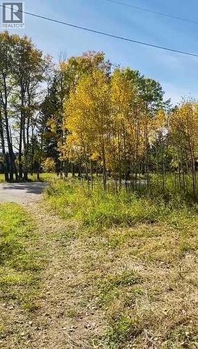 Fall driveway - 3, 5228 Highway 579, Rural Mountain View County, AB 