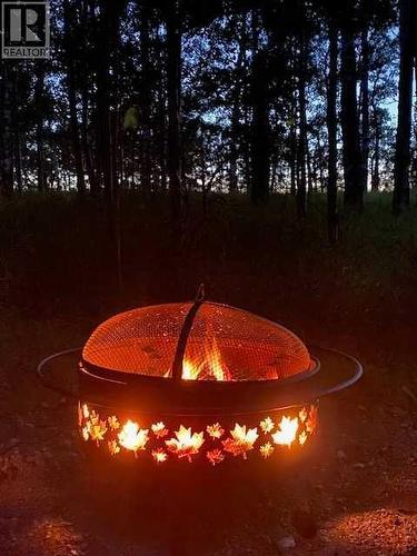Firepit in the trees.. - 3, 5228 Highway 579, Rural Mountain View County, AB 