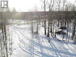 Driveway - from north to south - 