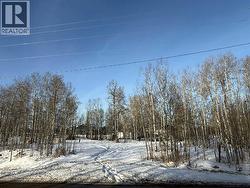 Highway 579 Treed Approach - 