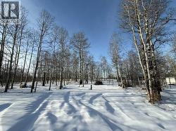 From Driveway facing west - gentle slope up and brand new well - 
