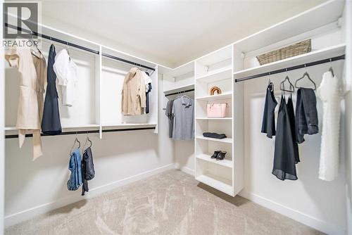 1149 Sailfin Heath, Rural Rocky View County, AB - Indoor With Storage