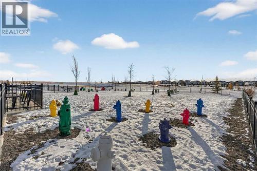 Amenities - 1149 Sailfin Heath, Rural Rocky View County, AB - Outdoor With View